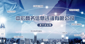 安順項目申請報告全程商務信息咨詢服務可行性分析